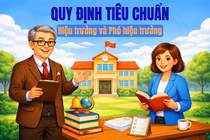 Tiêu chuẩn hiệu trưởng, phó hiệu trưởng của cơ sở giáo dục đại học và cơ sở giáo dục nghề nghiệp
