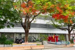 Chi tiết điểm chuẩn 2 năm gần nhất của HV Công nghệ Bưu chính Viễn thông