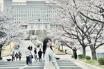 Du học chương trình đào tạo trình độ thạc sỹ ở Hàn Quốc đã là ước mơ từ những năm học đại học của Nguyễn Thị Lệ Quyên. Ảnh: NVCC.