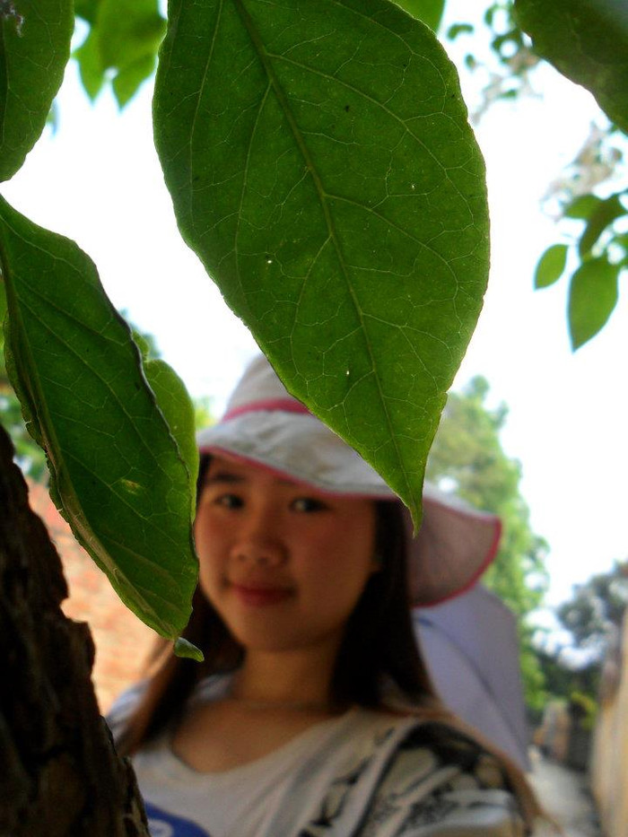 Hạnh có chiều cao: 1m60, cân nặng: 47kg, số đo 3 vòng: 87-65-94. Năng khiếu, sở trường nổi bật: múa, hát, MC. diễn xuất. Môn thể thao yêu thích: Dancesport, thể loại nhạc yêu thích nhất: Pop ballad, R&B (đặc biệt của hai ca sĩ Mỹ Linh và Tùng Dương). Thể loại phim yêu thích nhất: Hành động, tâm lý, tình cảm, điều thích làm khi rảnh rỗi: đọc truyện (đặc biệt là của nhà văn Dương Thụy), chụp ảnh, tập yoga và khiêu vũ. Ước mơ: trở thành một cô giáo giỏi, duyên dáng Hà thành