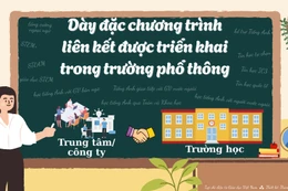 Dày đặc chương trình liên kết vào trường công, nguồn thu lớn: Nhiều băn khoăn cần lời giải
