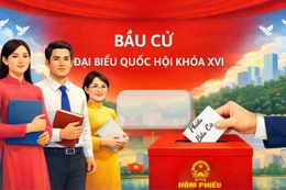 Chi tiết những người ứng cử ĐBQH khóa XVI đang công tác trong lĩnh vực giáo dục và đào tạo