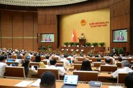 Toàn cảnh phiên họp sáng ngày 24/6. Ảnh: Media Quốc hội.