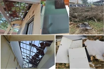 "Không hoa 20/11, dành yêu thương cho vùng bão lũ”: Lãnh đạo trường học thấy thiết thực, ý nghĩa