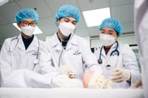 Nhiều lợi thế trong đào tạo ngành Hộ sinh khi trường đại học y dược có bệnh viện trực thuộc