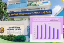Năm học 2025-2026, số lượng học sinh của TH, THCS, THPT Tuệ Đức có xu hướng giảm 