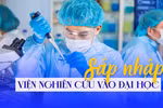 Kinh nghiệm quốc tế về tích hợp viện nghiên cứu vào đại học