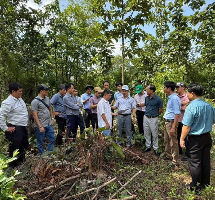 Đoàn công tác của Sở Giáo dục và Đào tạo tỉnh Gia Lai tiến hành khảo sát thực tế nhằm triển khai đầu tư xây dựng trường học thuộc 7 xã biên giới. Ảnh: Sở Giáo dục và Đào tạo tỉnh Gia Lai cung cấp 2343023035adbcf3e5bc-6402.jpg