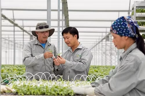 Nông nghiệp Việt Nam hướng đến những sản phẩm chất lượng cao. ảnh: vineco. Nông nghiệp Việt Nam hướng đến những sản phẩm chất lượng cao. ảnh: vineco.