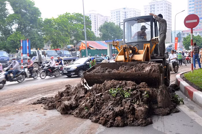 Lượng bùn đất được gom lại và đưa đi