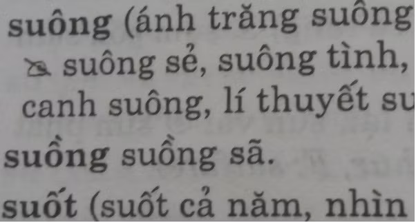 Từ điển chính tả... sai chính tả ảnh 5