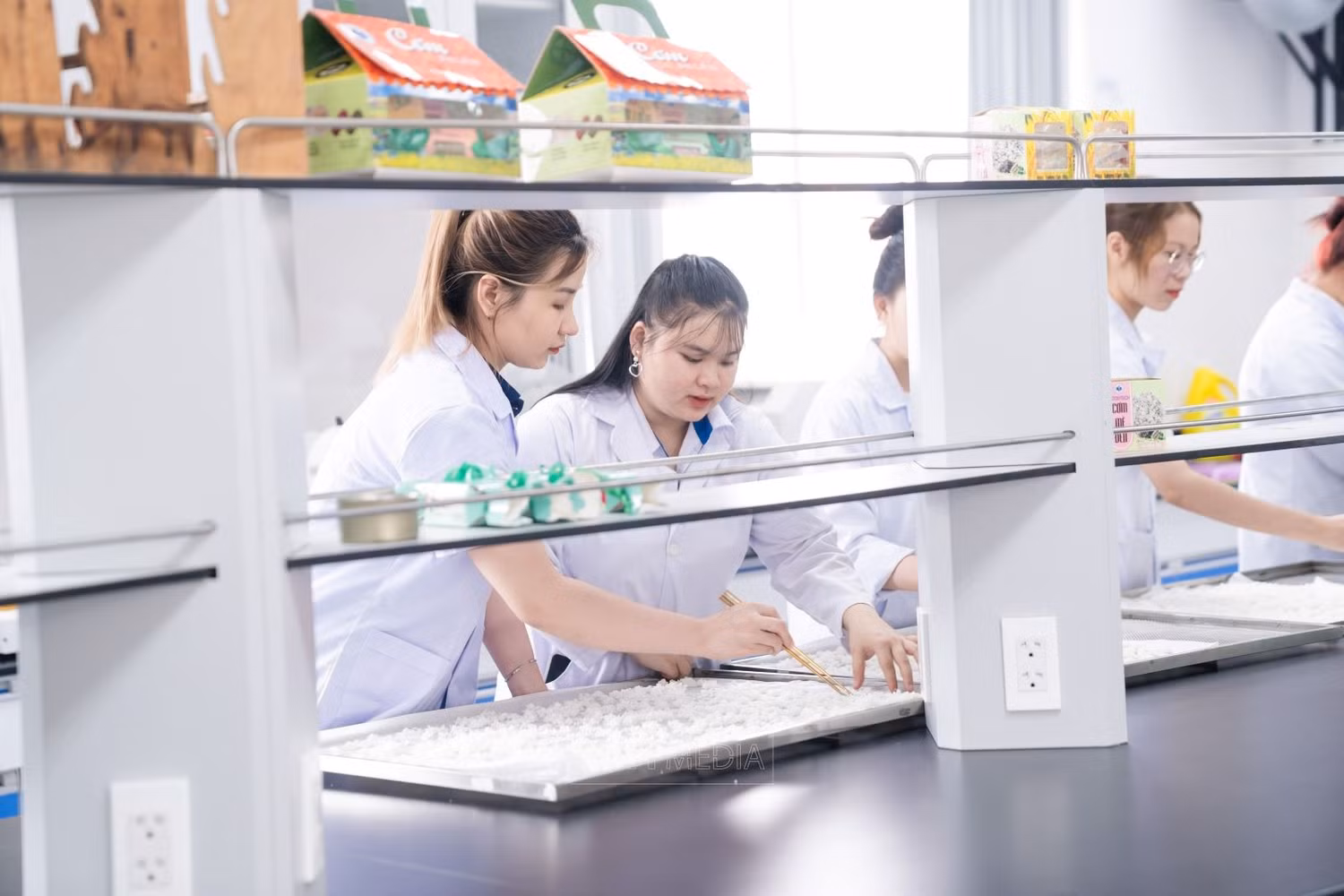 Sinh viên Trường Đại học Công Thương Thành phố Hồ Chí Minh nghiên cứu sản xuất nui ăn liền. Ảnh: Website nhà trường
