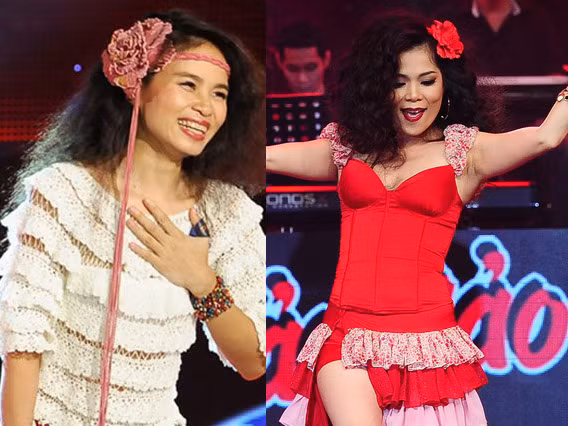 Dễ nhận thấy, trang phục mà Mỹ Lệ sử dụng trong tiết mục biểu diễn ở liveshow 8 Cặp đôi hoàn hảo na ná phong cách của Đồng Lan