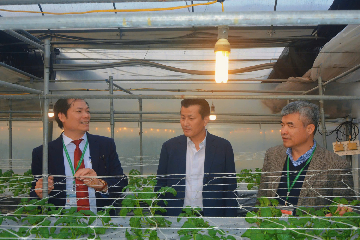 Ông Park Se Yeol - Tổng Giám đốc Công ty TNHH Thực Phẩm Orion Vina (đại diện Tập đoàn Orion tại Việt Nam).