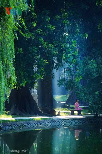 Sự bình yên trong công viên Bách Thảo.