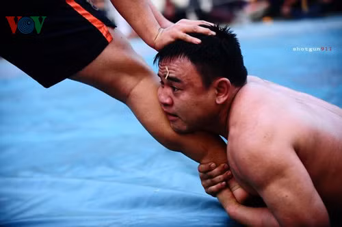 Tại sới vật Cổ Loa