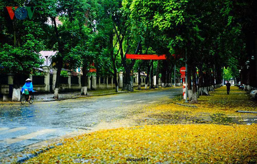 Cũng có một Hà Nội rất khác.