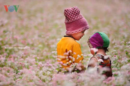 Hai đứa trẻ trên cánh đồng tam giác mạch tại Hà Giang.