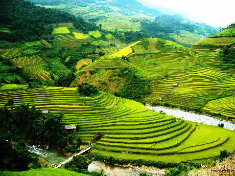 Cũng tại thửa ruộng vào tháng 10 đã tràn ngập sắc màu mơ ước.