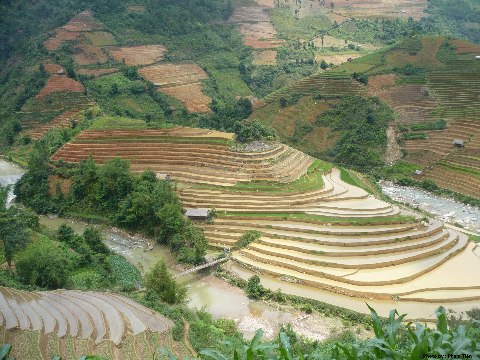 Vào tháng 5, mùa nước đổ cũng là lúc ruộng bậc thang thay áo mới để chuẩn bị cho mùa vụ mới.