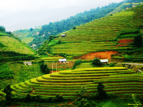 Ở Chế Cu Nha, quần thể bậc thang này đẹp đặc biệt.