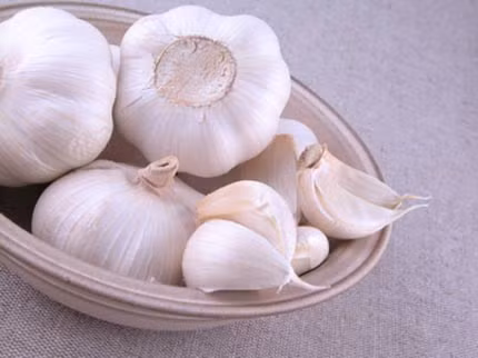Ngoài ra, trong tỏi chứa nhiều hợp chất chống virút và vi khuẩn nên có khả năng đánh bại được bệnh cảm cúm, đau bao tử và nấm candida. Ngoài ra, trong tỏi chứa nhiều hợp chất chống virút và vi khuẩn nên có khả năng đánh bại được bệnh cảm cúm, đau bao tử và nấm candida.