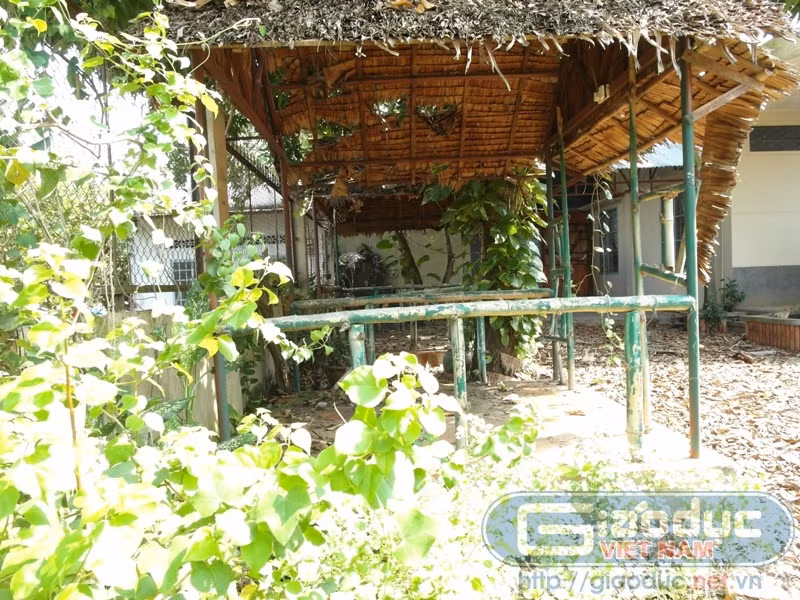 Những hình ảnh đầm ấm, sung túc mà khán giả từng thấy trên sóng truyền hình những ngày chuẩn bị cho cuộc thi Hoa hậu Việt Nam năm 2010 của Hoàng My, giờ trở nên hoang tàn thế này…. Về nhà Hoàng My ở Đồng Nai: Thuê bình thường thì được, cấm 'gái góc'!