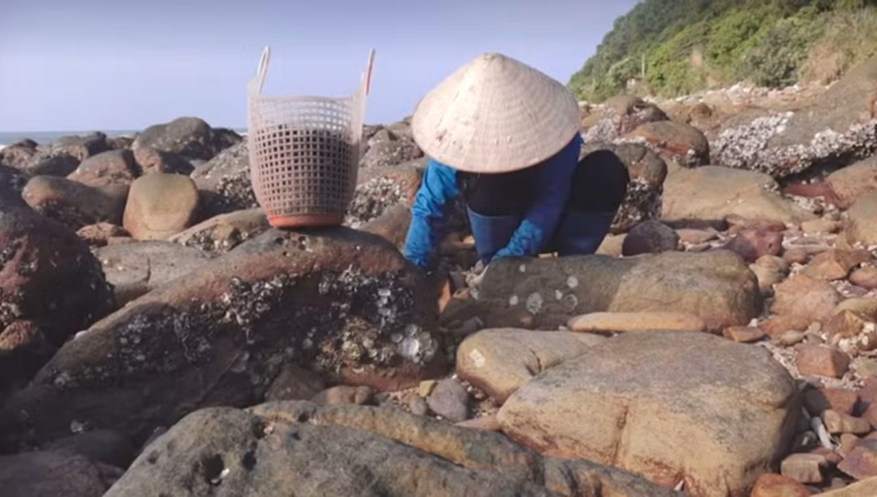 Cô giáo Thuý đi gõ hà để kiếm thêm thu nhập dịp hè (Ảnh: NVCC) Cô giáo Thuý đi gõ hà để kiếm thêm thu nhập dịp hè (Ảnh: NVCC)
