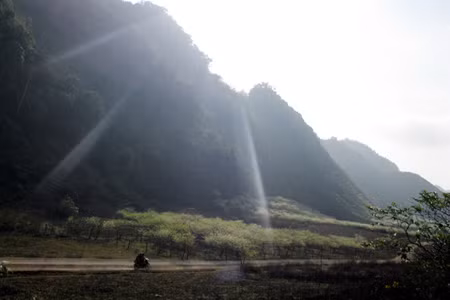 Hoa mận, hoa đào nở là tín hiệu báo hiệu mùa xuân đang về. Ảnh: Phạm Quyên. Hoa mận, hoa đào nở là tín hiệu báo hiệu mùa xuân đang về. Ảnh: Phạm Quyên.