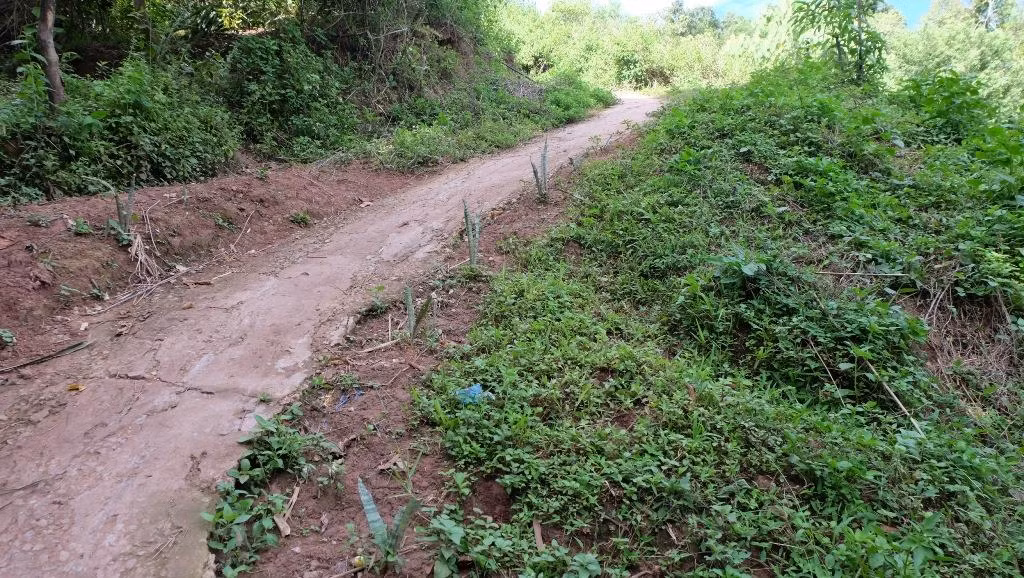 Con đường mà các thầy cô tự làm mong cho các con đi học không bị trượt ngã khi ngày mưa Con đường mà các thầy cô tự làm mong cho các con đi học không bị trượt ngã khi ngày mưa