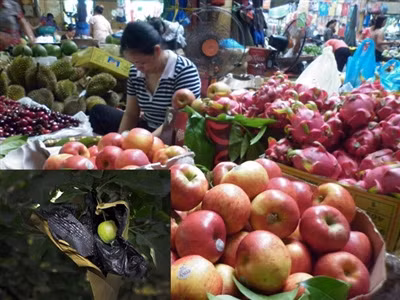 Táo độc TQ: Cơ quan chức năng vào cuộc, Tin tức trong ngày, tao trung quoc, tao tau, tao boc thuoc sau, giay tam thuoc sau, thit thoi trung quoc, ngo doc thuc pham, tao boc thuoc sau, an toan ve sinh thuc pham, thuoc sau, bao, tin hay, tin hot, tin tuc