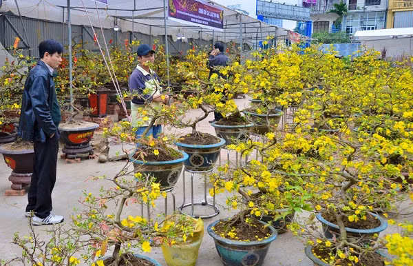 Tết phương Nam ảnh 1