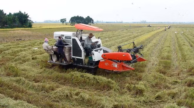 Việc hỗ trợ hơn 470 tỷ đồng cho 9 địa phương phát triển đất trồng lúa cho thấy Chính phủ rát chú trọng tới an ninh lương thực trong tương lai. ảnh: LDO. Việc hỗ trợ hơn 470 tỷ đồng cho 9 địa phương phát triển đất trồng lúa cho thấy Chính phủ rát chú trọng tới an ninh lương thực trong tương lai. ảnh: LDO.