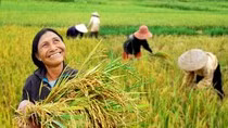 "Nhiều Giám đốc sở, Vụ trưởng lơ mơ, làng màng" ảnh 2