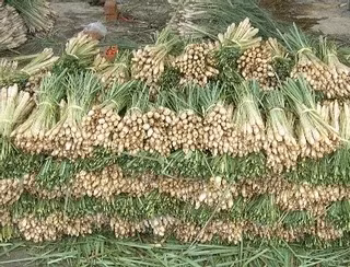 Lý do: Cây sả, cần tây là những thực phẩm giàu chất xơ, khi vào trong ruột có thể đẩy nhanh tốc độ làm sạch các thức ăn thừa trong ruột, giảm các chất độc hại và thúc đẩy bài tiết cực kỳ hiệu quả, phòng chống ung thư đại trực tràng. Xem thêm:Điểm danh một số loại rau, quả giúp hạ huyết áp Lý do: Cây sả, cần tây là những thực phẩm giàu chất xơ, khi vào trong ruột có thể đẩy nhanh tốc độ làm sạch các thức ăn thừa trong ruột, giảm các chất độc hại và thúc đẩy bài tiết cực kỳ hiệu quả, phòng chống ung thư đại trực tràng. Xem thêm:Điểm danh một số loại rau, quả giúp hạ huyết áp