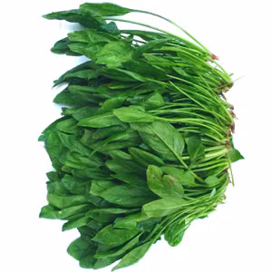 Ung thư phổi: Thực phẩm hàng đầu là rau bina Xem thêm:Điểm danh một số loại rau, quả giúp hạ huyết áp Ung thư phổi: Thực phẩm hàng đầu là rau bina Xem thêm:Điểm danh một số loại rau, quả giúp hạ huyết áp