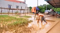 Trá hình dự án, khai thác hơn 300 tấn than, cần xử lý hình sự Công ty Viễn Đông ảnh 6
