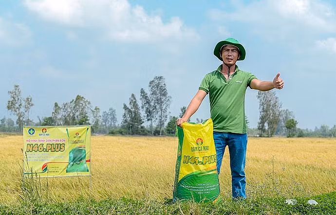 Anh Nguyễn Trung Sĩ bên ruộng lúa đạt năng suất cao khi bón đạm xanh Đạm Cà Mau. Anh Nguyễn Trung Sĩ bên ruộng lúa đạt năng suất cao khi bón đạm xanh Đạm Cà Mau.