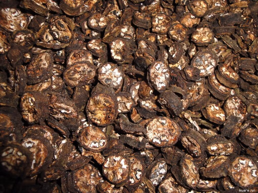 Chuối hột, mật ong (nếu ăn cùng lúc cùng ngày dẽ bị chướng bụng) (Ảnh: ITN) Xem thêm: 10 điều cấm kỵ khi ăn dưa hấu