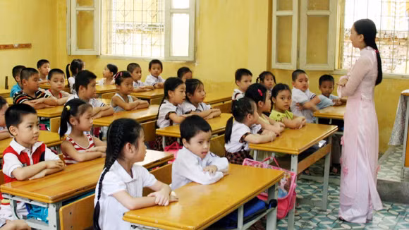 Ít việc, ngồi chơi không, cần tinh giản ngay ảnh 3