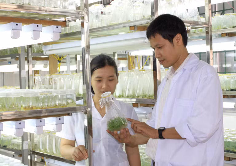 Nguồn ảnh: Trường Đại học Nông Lâm - Đại học Thái Nguyên Nguồn ảnh: Trường Đại học Nông Lâm - Đại học Thái Nguyên