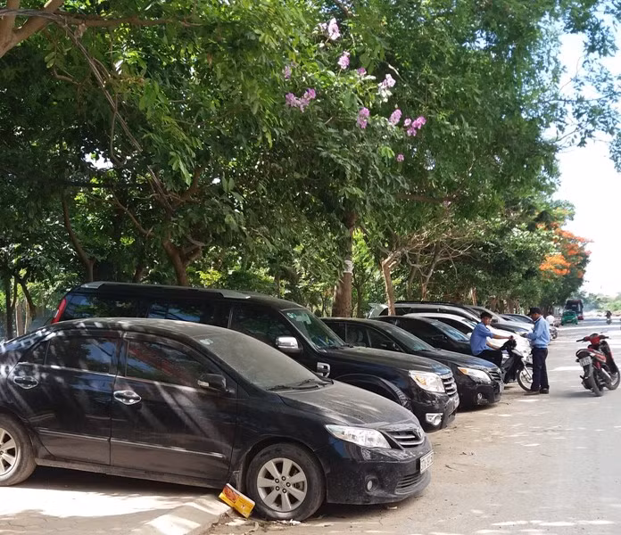 Đã hết hạn cấp phép tạm thời nhưng Công ty Tân Nhật Linh vẫn ngang nhiên trông xe, thậm chí còn chiếm luôn cả công viên làm điểm trông giữ với hàng chục đầu xe ô tô. Ảnh Liên Liên.