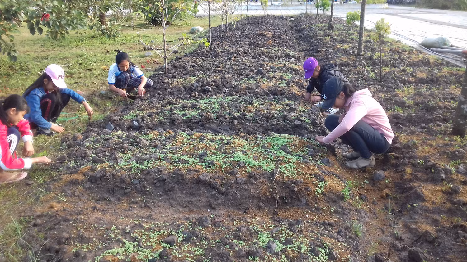 Học sinh đang lao động công ích (Ảnh tác giả)