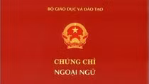 Chưa kiểm soát được chất lượng thật thì quy định giáo viên có chứng chỉ làm gì? ảnh 2