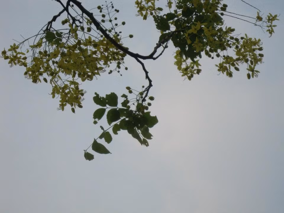 Khoảng vắng.