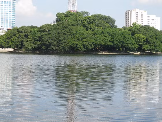 Mặt hồ gợn sóng.
