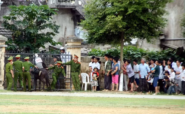 Sáng nay (10/6), Giải đua ngựa truyền thống huyện Bắc Hà mở rộng năm 2012 sẽ tiến hành thi đấu bán kết, chung kết và trao giải.