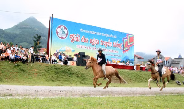 Giải đua năm nay có 66 ngựa tham gia, trong đó 58 ngựa của 7 xã thuộc huyện Bắc Hà; 5 ngựa của huyện Si Ma Cai (tỉnh Lào Cai) và 3 ngựa của huyện Xín Mần (tỉnh Hà Giang), đây cũng là những đơn vị có ngựa đua tham gia Giải đua ngựa huyện Bắc Hà mở rộng năm 2011.