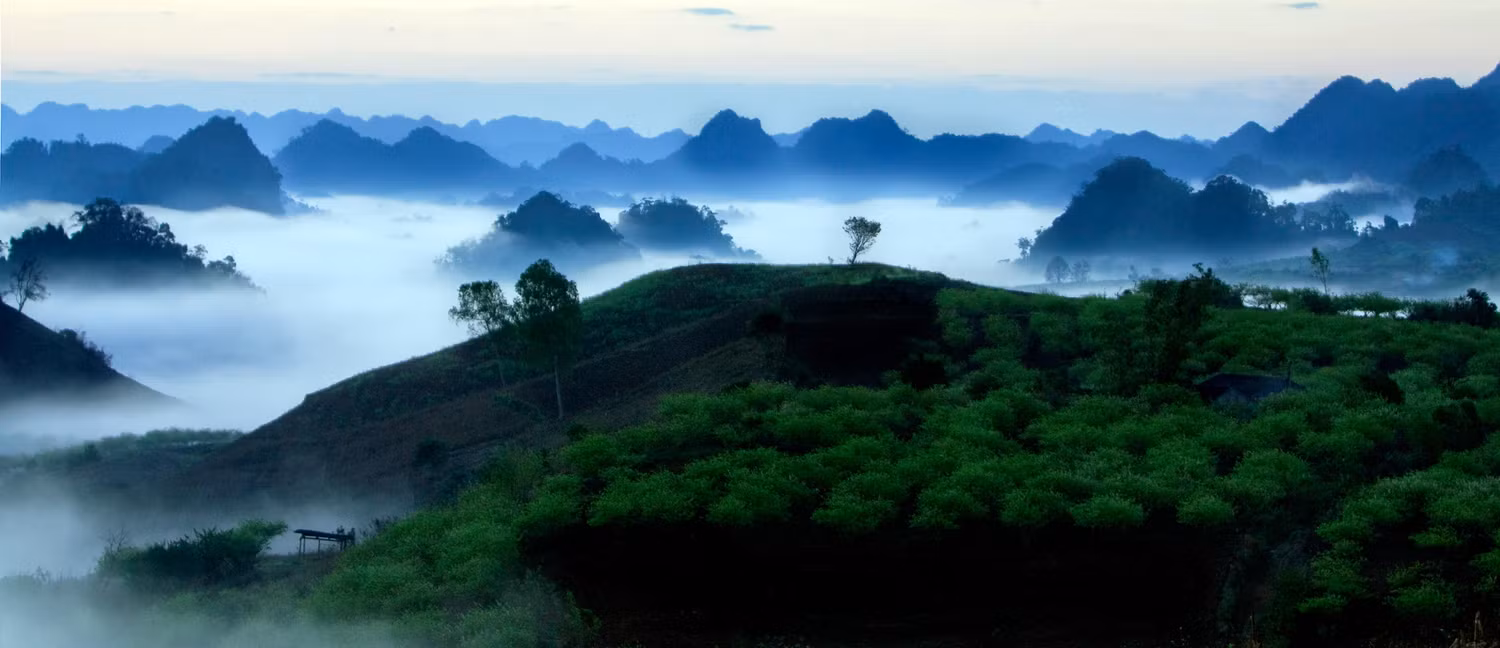 Cao nguyên Mộc Châu trong sương sớm. Ảnh: Tùng Dương.