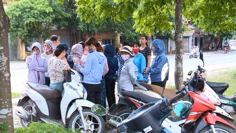 Ai bồi thường tuổi thanh xuân cho 434 giáo viên nếu bị đuổi việc? ảnh 5